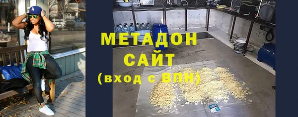 индика Богданович